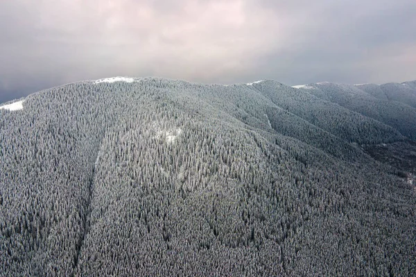 Luftaufnahme Der Winterlandschaft Mit Berghügeln Mit Immergrünem Kiefernwald Nach Heftigen — Stockfoto