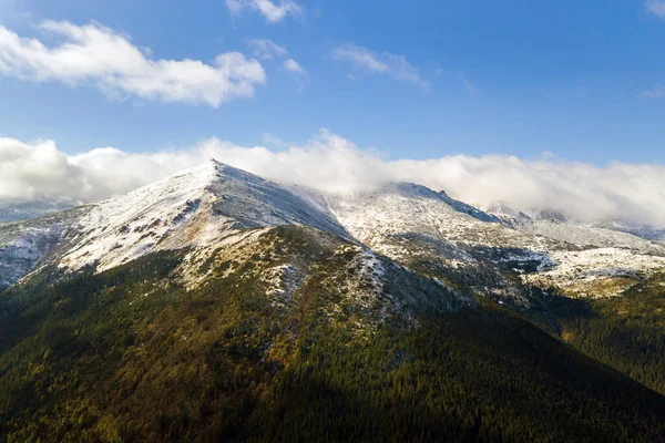 緑のスプルースの森と高い雪のピークで覆われた雄大な山々の空中ビュー — ストック写真