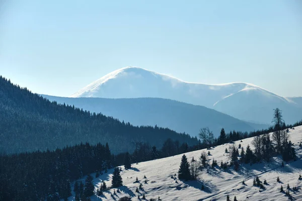 寒い山の中で雪に覆われた森の春の木と冬の風景 — ストック写真