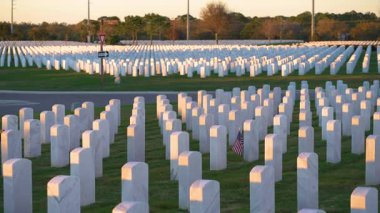 Beyaz mezar taşları ve yeşil çimlerde Amerikan bayrağı olan Amerikan askeri mezarlığı. Anma Günü konsepti