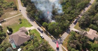 Yangın Florida 'nın ağaçlık bölgesini sardı. Bölgede itfaiye araçları ve ekipler yayılmasını engellemeye çalışıyor. Kurak mevsimde bitki yangını.