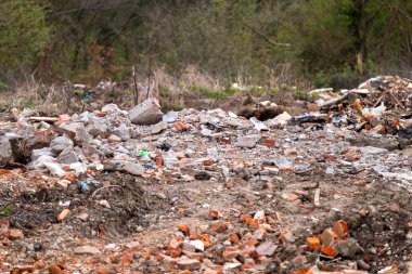 Ormanlık alanda terk edilmiş çöp yığını. Kirlilik, doğanın dengesini ve yerel ekosistemin sağlığını tehdit ediyor
