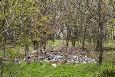 Ormanda terk edilmiş çöp yığını. Ormanı kirleten ve ekolojik sorunlar yaratan biyolojik olarak çözülemeyen çöpler.