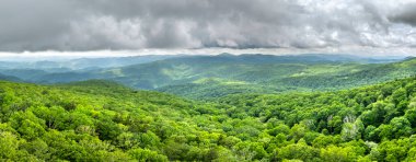 Kuzey Carolina Appalachian dağlarındaki nemli orman, ABD. Yaz yağmur mevsiminde Amerikan doğası.