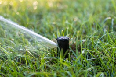 Otomatik sulama sistemiyle çimen sulama..