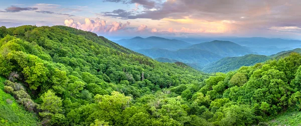 Yaz mevsiminde gün batımında yeşil tepe örtüleri olan dağ ormanları. Kuzey Carolina Yazın vahşi orman doğası.