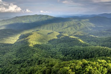 Tennessee Appalachian dağlarının doğa manzarası. Yaz mevsiminde yeşil tepe örtüleri olan dağ ormanları.