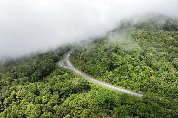 Yaz ormanlarında dolambaçlı dağ yolu. Kuzey Carolina 'daki Appalachian dağlarında yaz mevsiminde yeşil orman ağaçlarıyla çevrelenmiş. ABD doğasının güzelliği.