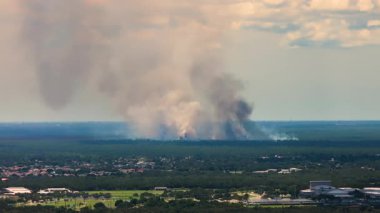 Florida yakınlarındaki kontrollü orman yangını.