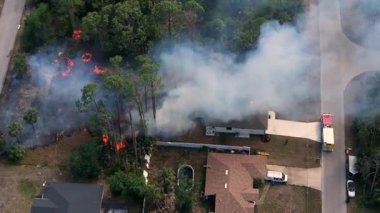 Florida evlerinin yakınlarındaki ormanda alevler yayıldı. İtfaiyeciler sıcak noktaları ve itfaiye araçlarını aktif olarak söndürdüler..