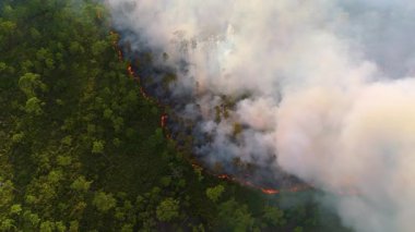 Safe prescribed fire in rural Florida landscape, reducing wildfire risk through controlled vegetation burning