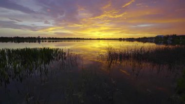 İnanılmaz Florida doğası. Güney tropik sulak alanlarda, göl suyunun üzerinde gün batımı.