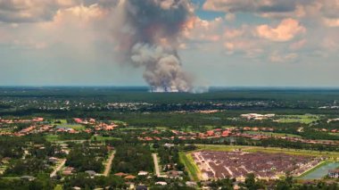 Florida 'nın kırsal kesimlerinde itfaiyeciler tarafından kontrol edilen yangınlar.