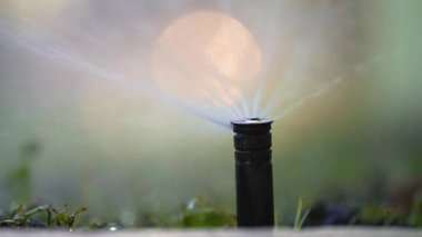 Kurak mevsimde çimenleri sulayan fıskiyeler