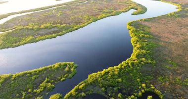 Florida 'nın sulak arazisi. Günbatımında yoğun yeşil bitki örtüsüyle tropik bataklık.