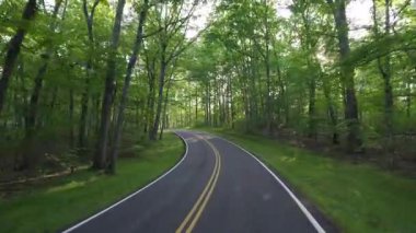 Blue Ridge Parkway yolu gezisi. Kuzey Carolina 'daki Appalachian dağ tepelerinde yaz ormanlarında keşif gezisine kişisel bakış açısıyla araba sürmek. Güzel doğanın yaz manzarası.