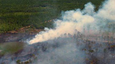 Florida arazi yönetimi yanık reçetesi yazdı, zararlı bitki yakıtını azaltarak koyu renkli duman sütunları üretti.