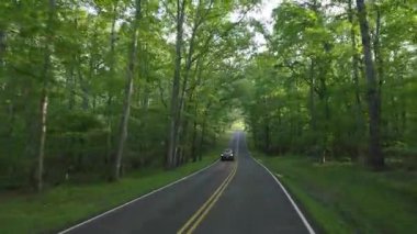 Kuzey Carolina Appalachian dağlarındaki dağ geçidi yolu, ABD. Yaz sezonunda Blue Ridge Parkway 'de araba sürüyor..