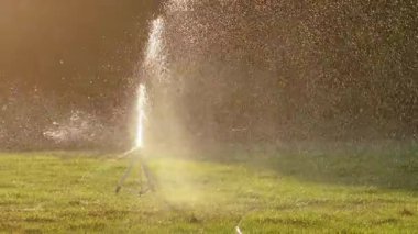 Çimleri taze ve sağlıklı tutmak için yeşil çimenleri sulayan geçici üç ayaklı fıskiye.