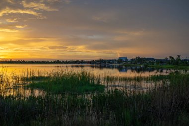 Gün batımında güzel doğa manzarası. Venedik, Florida 'daki Wellen Park' ta vahşi yaşam gölü.