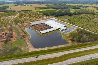 İnek eti ineklerle besleniyor. ABD 'deki çiftlikte sığır ağılı..