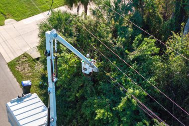 Elektrik işçisi, Florida yerleşim bölgesindeki kova kamyonu kullanarak elektrik hatlarına zarar gelmesini önlemek için ağaç dallarını buduyor..