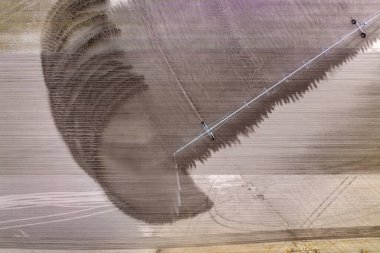 Kuraklık döneminde ekin büyümesi için tarım arazilerine su püskürten endüstriyel fıskiyeler. Kurak mevsimde tarlaları sulama sistemi.