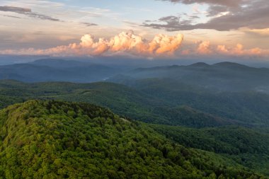 Yaz mevsiminde gün batımında yeşil tepe örtüleri olan dağ ormanları. Kuzey Carolina Yazın vahşi orman doğası.