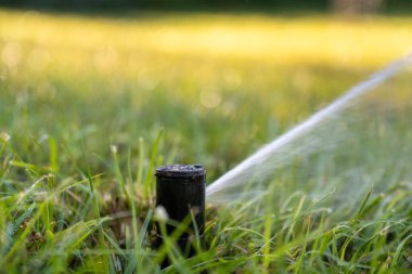 Kurak mevsimde çimenleri sulayan fıskiyeler.