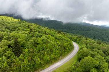 Appalachian Dağları 'nın yaz ormanlarında mavi tepe yolu ve renkli ormanlarda yeşil gölgeler. Yaz mevsiminde vahşi doğada araba kullanmak.