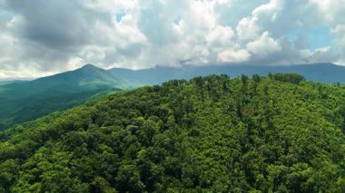Yoğun yaz örtüleri olan dağ manzarası. Şiddetli yağmur üstüne orman doğası