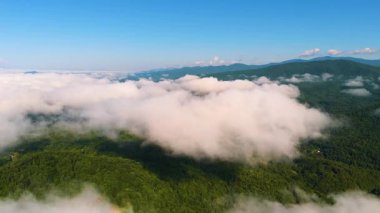 Yoğun yaz örtüleri olan dağ manzarası. Şiddetli yağmur üstüne orman doğası