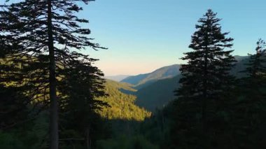 Tennessee Appalachian dağlarının doğa manzarası. Yaz mevsiminde yeşil tepe örtüleri olan dağ ormanları