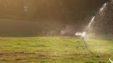 Sıcak yaz havasında arka bahçedeki çimenleri sulayan mobil tripod fıskiye sistemi.