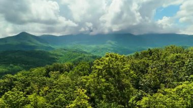 Tennessee Appalachian dağlarının doğa manzarası. Le Conte Dağı ve yaz mevsiminde yeşil örtülü dağ ormanı