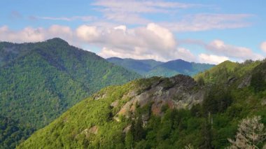 Yaz mevsiminde Great Smoky Dağları. ABD 'nin Tennessee Appalachians kentindeki dağlık tepeler