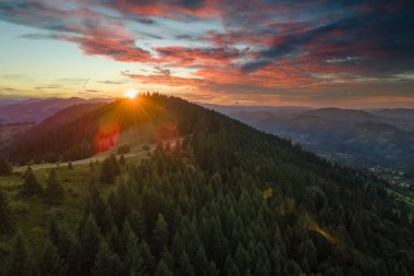 Güzel manzara. Dağlık arazide dramatik bir gün batımı. Parlak batan güneşle aydınlanan karanlık çam ormanı. Vahşi dağların renkli doğası.