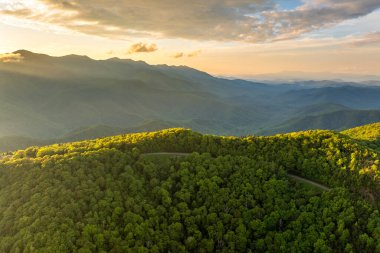 Kuzey Carolina Appalachians, ABD 'deki orman yolunun akşam manzarası. Blue Ridge Parkway Amerikan otoyolu yaz sezonunda.