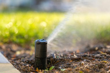 Kurak mevsimde çimenleri sulayan fıskiyeler.