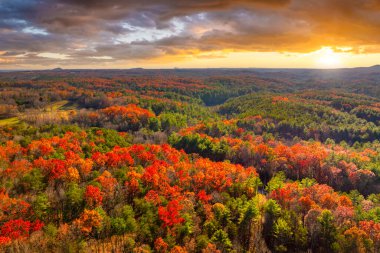 Appalachian sıradağlarında, sonbahar mevsimi ormanlarında canlı günbatımı. Altın ağaçlar ve renkli doğa manzarası