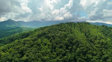 Dağ ormanları nemli yaz mevsiminde yemyeşil ağaçlar ve sisli ormanlarla