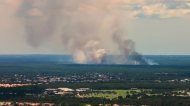 Florida 'nın kırsal kesimindeki yerleşim yerinin yakınındaki aşırı gelişmiş bitki örtüsünü temizleyen reçeteli yanık.