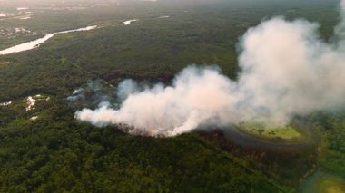 Kavurucu alevler kuraklık mevsiminde Florida orman bitkilerini silip süpürerek yoğun duman ve geniş çaplı yangın hasarı yarattı.