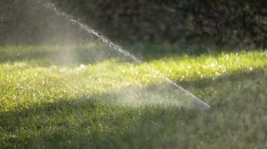 Sulama sulama fıskiyesi kurak mevsimde arka bahçedeki çimlerin üzerine su yayarak yeşil ve taze kalmasını sağlar..