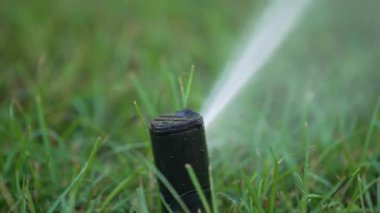 Otomatik sulama sistemiyle çimen sulama.