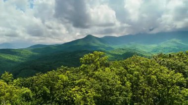 Yaz yağmuru mevsiminde Great Smoky Dağları 'nda Le Conte Dağı. ABD 'nin Tennessee Appalachians kentindeki dağlık tepeler.