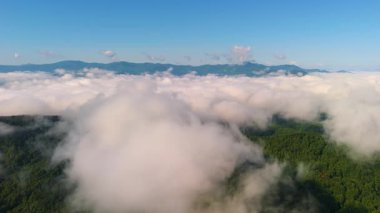 Tennessee Appalachian dağlarının doğa manzarası. Yaz mevsiminde yeşil gölgelikli dağ ormanları