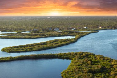 Myakka nehri ile yeşil bitki örtüsü arasında Florida sulak alanları. Günbatımında tropik ekosistem.