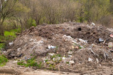 Orman zemini dağınık çöp ve plastik atıklarla kaplı. Çevresel kirlilik ve insan doğası üzerindeki etkisi
