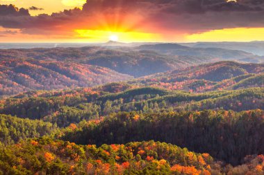 Sonbahar yapraklarıyla kaplı Appalachian dağ tepeleri. Kırmızı, turuncu ve sarı renkli orman gölgeleri üzerinde parlak gün batımı